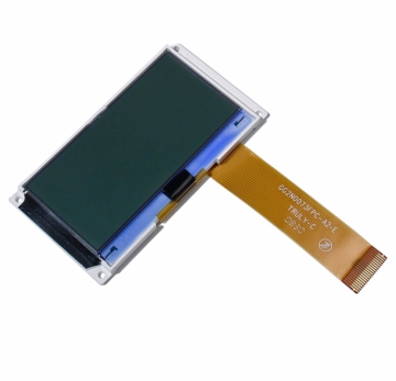 Display LCD T10C