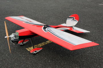 Giant Thunder Stick Aerobatic Sport 245cm ARF 55-60cc