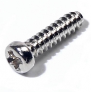 Tapping screw  2 x 8 NI*