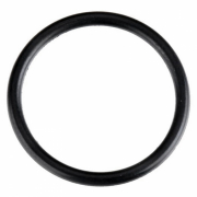 O-Ring (S-16)