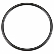 O-Ring (S-36) 75AX