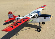 Giant Cessna Bird Dog "DeadEye" 70-125cc Gas