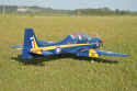 Tucano 1730mm .65-95/15cc GP/Bensin/EP ARF*