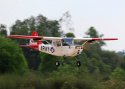 Giant Cessna Bird Dog 