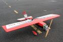 Giant Thunder Stick Aerobatic Sport 245cm ARF 55-60cc