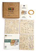 Ugears Differential STEM LAB*